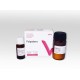 PULPODENT 25G/15ML