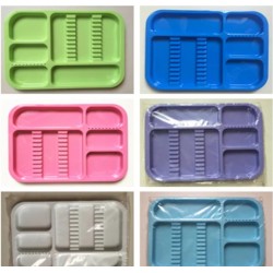 Plastic Dental Instrument Tray 