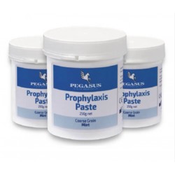 PEGASUS PROPHY PASTE MEDIUM – MINT (250G)