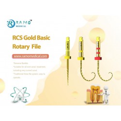 RCS GOLD BASIC ROTARY FILE