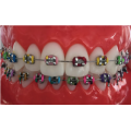 Orthodontic elastic