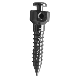 Mini screw